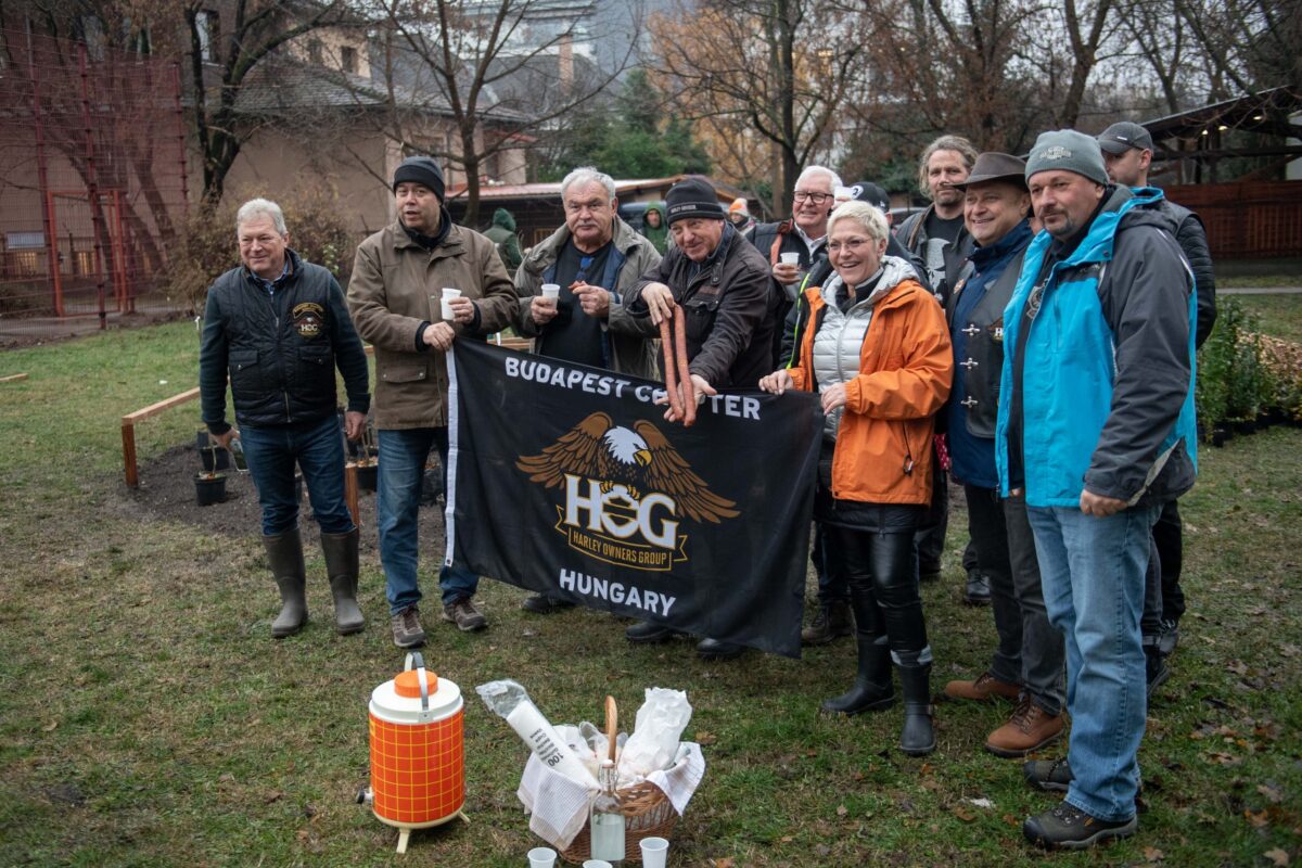 20231213 fa ültetés stg (4)